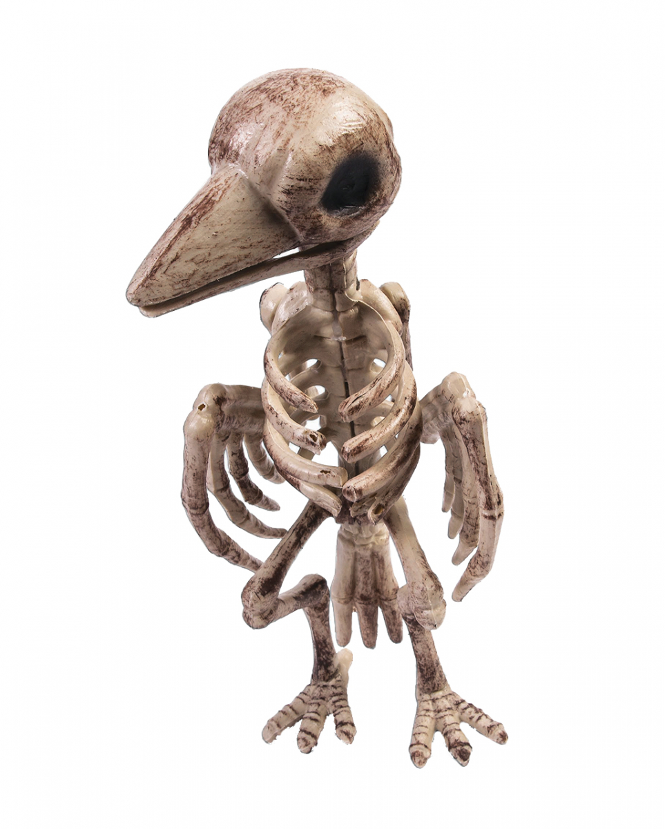 Realistisches Raben Skelett Halloween Deko