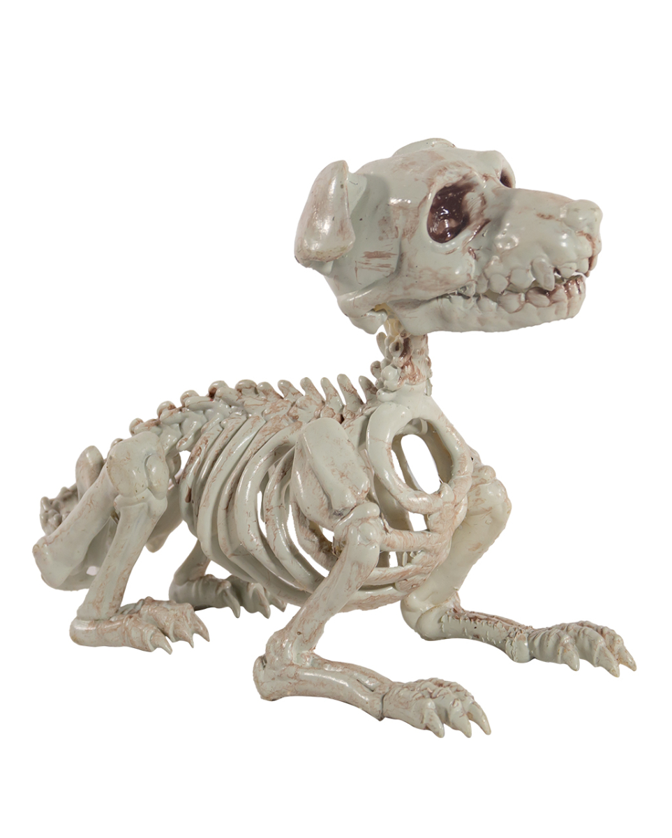 Schnauzer Hundeskelett als Halloween Deko 27cm