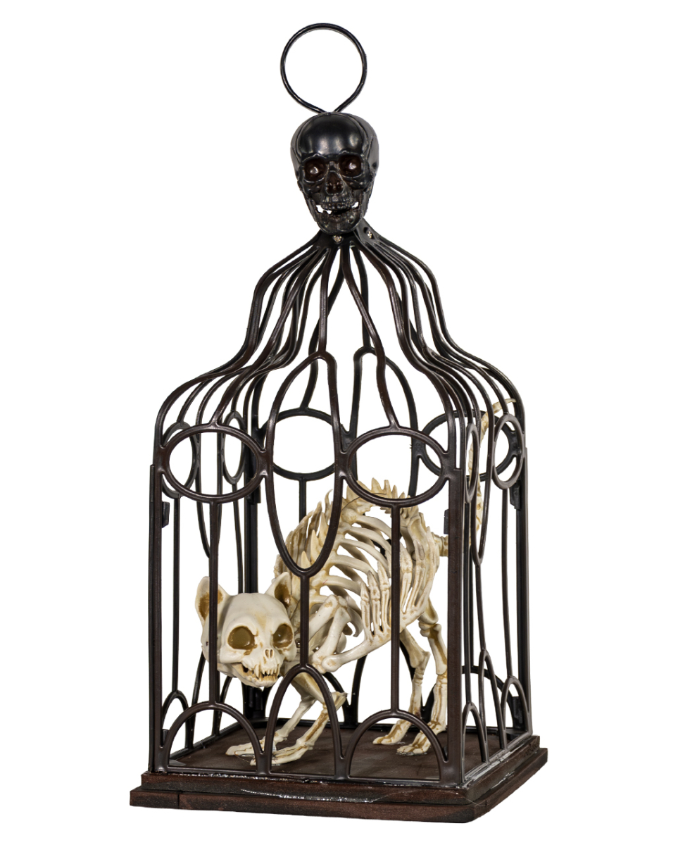 Skelett Katze im Käfig 33cm