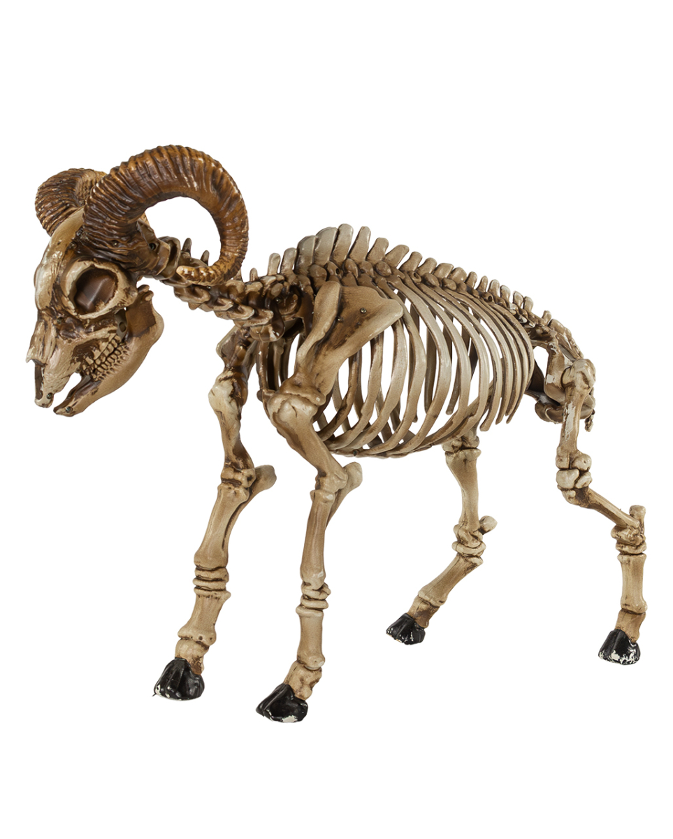 Skelett Ziegenbock als Halloween Deko 67cm