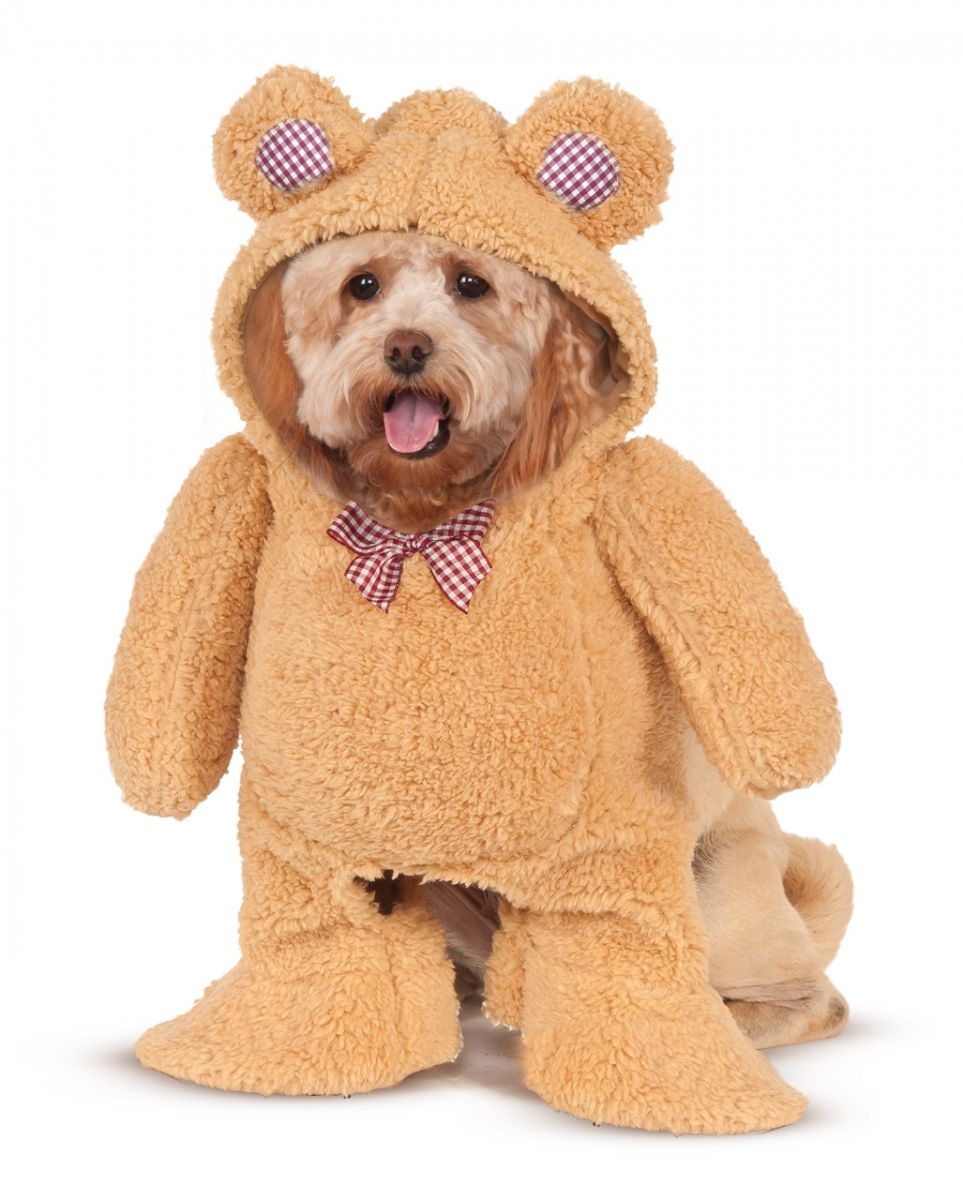 Teddy Bär Hundekostüm S