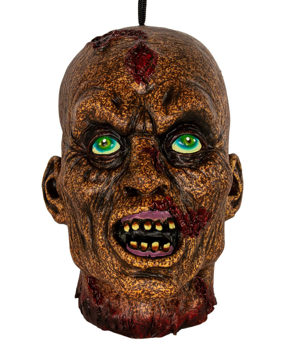 Verfaulter Zombieschädel als Halloween Deko 25cm