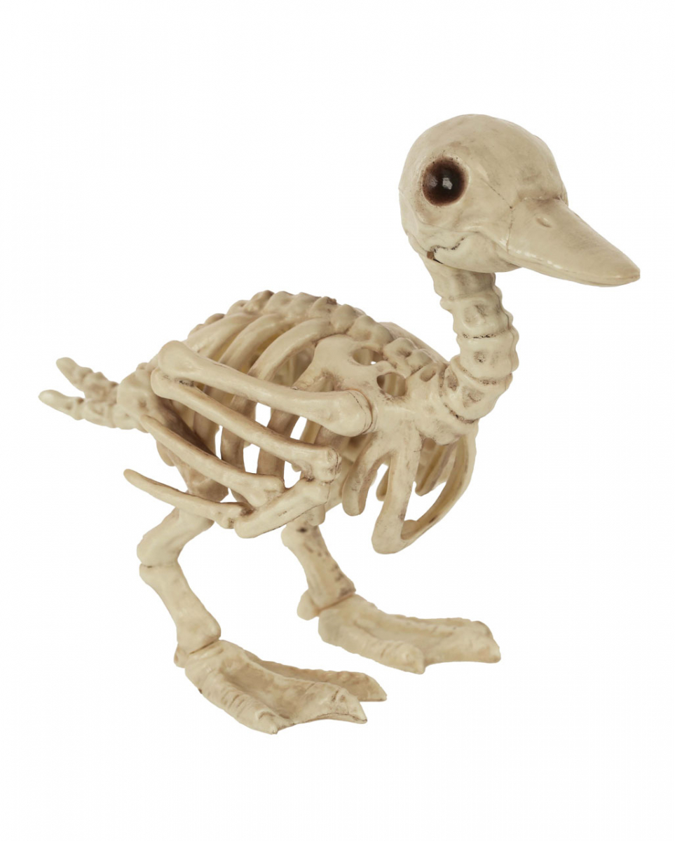 Skelett Baby Ente 19cm