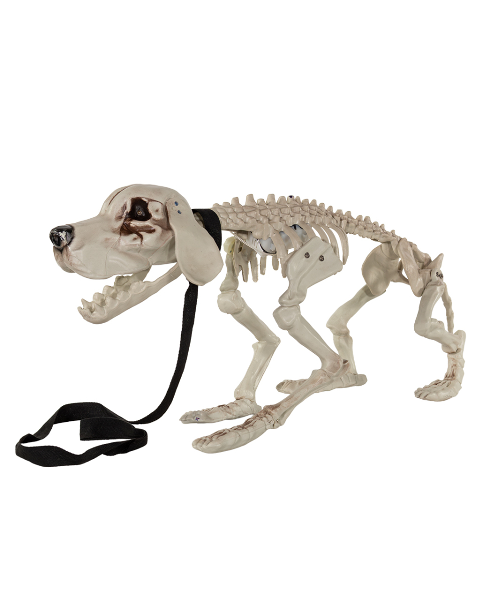Bellender Skelett Hund mit LED Augen 70cm