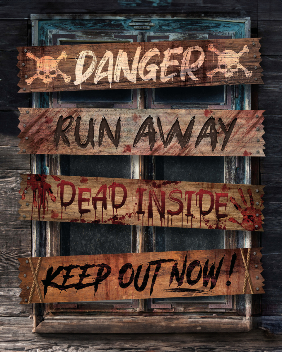 4 verwitterte Fenster Latten