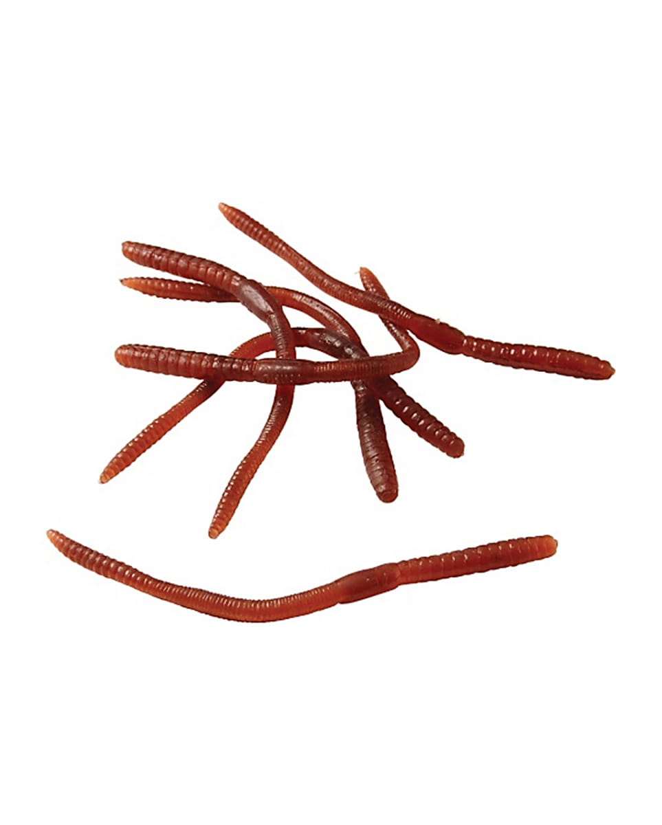 Eklige Regenwürmer 12 Stück