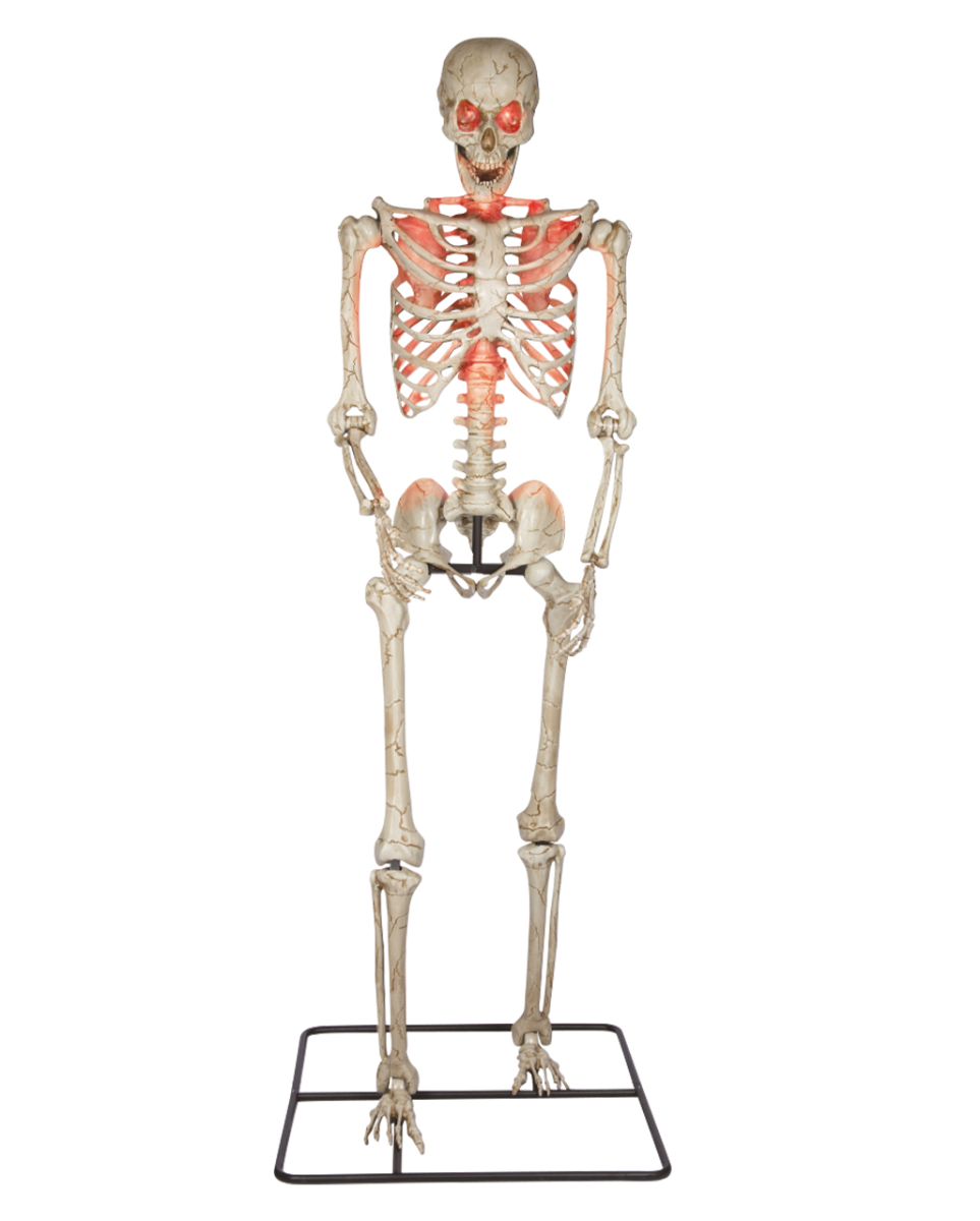 Gigantisches Halloween Skelett 3 Meter