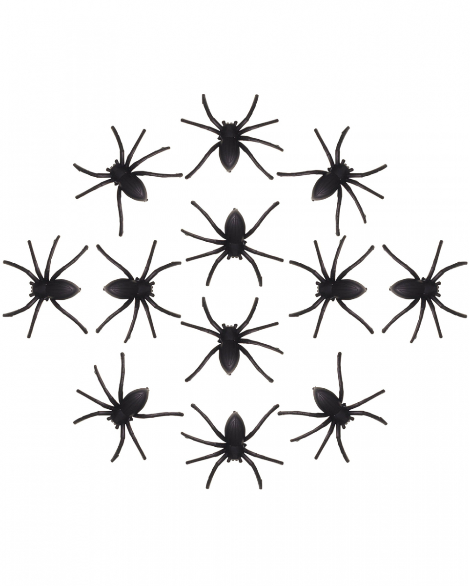 12 Halloween Spinnen