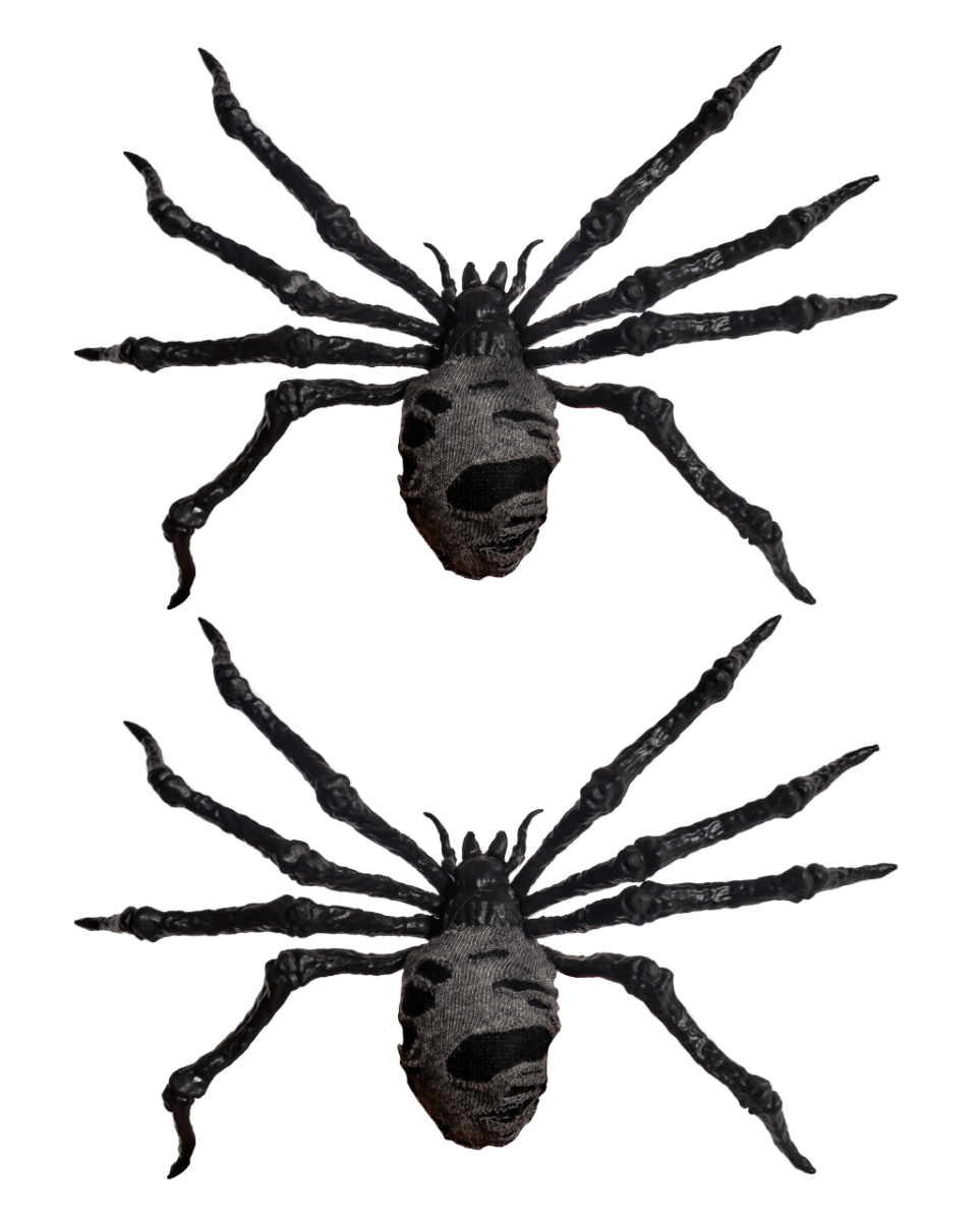 Schauderhafte Ekelspinnen mit Cheese Cloth Fell 19cm 2 St.