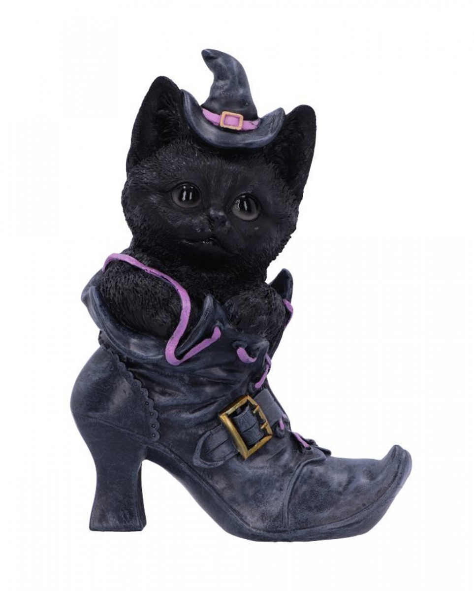 Schwarze Katze im Hexenschuh
