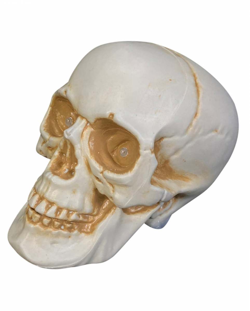 Sich Bewegender Totenschädel mit Licht & Sound