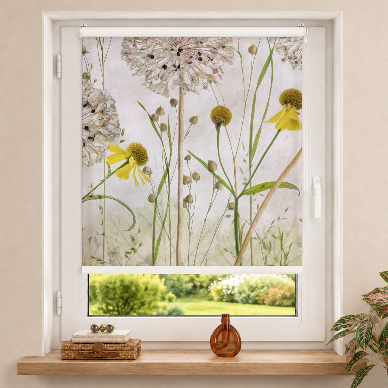 Rollo Allium und Helenium Illustration