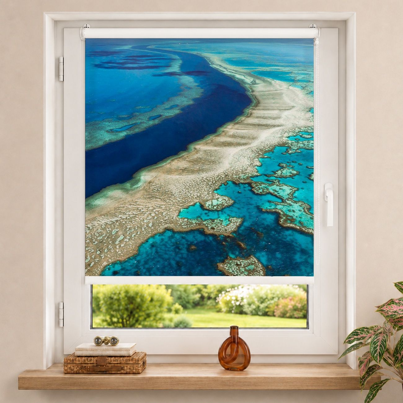 Rollo Great Barrier Reef Australien