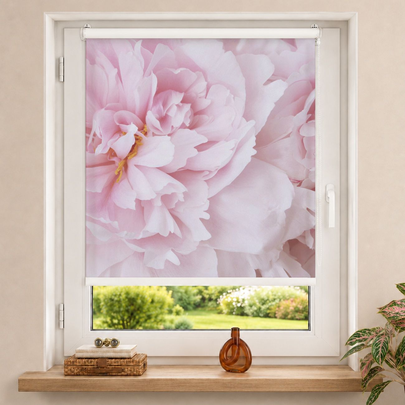 Rollo Pfingstrosenblüten Rosa