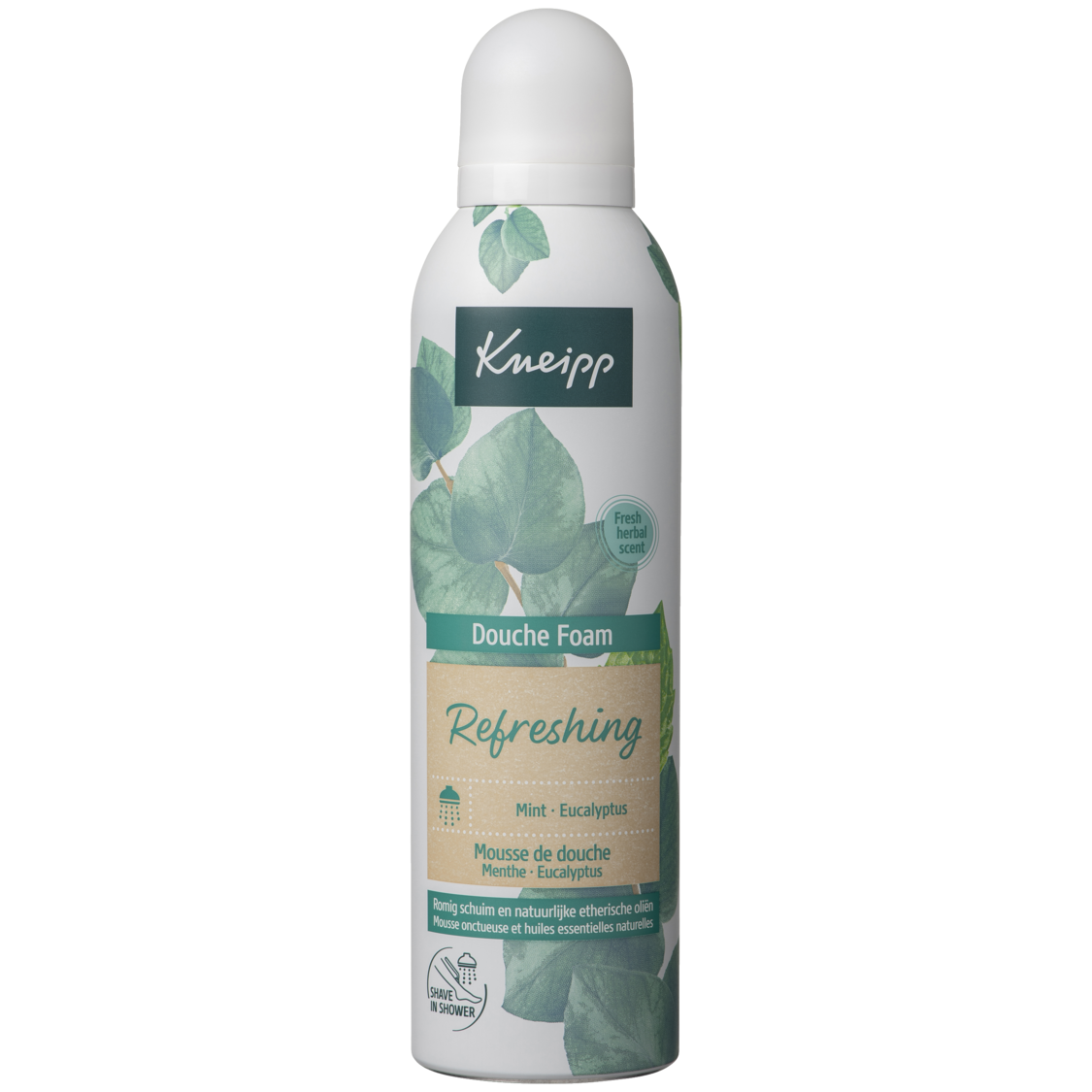 Schaum-Dusche Refreshing