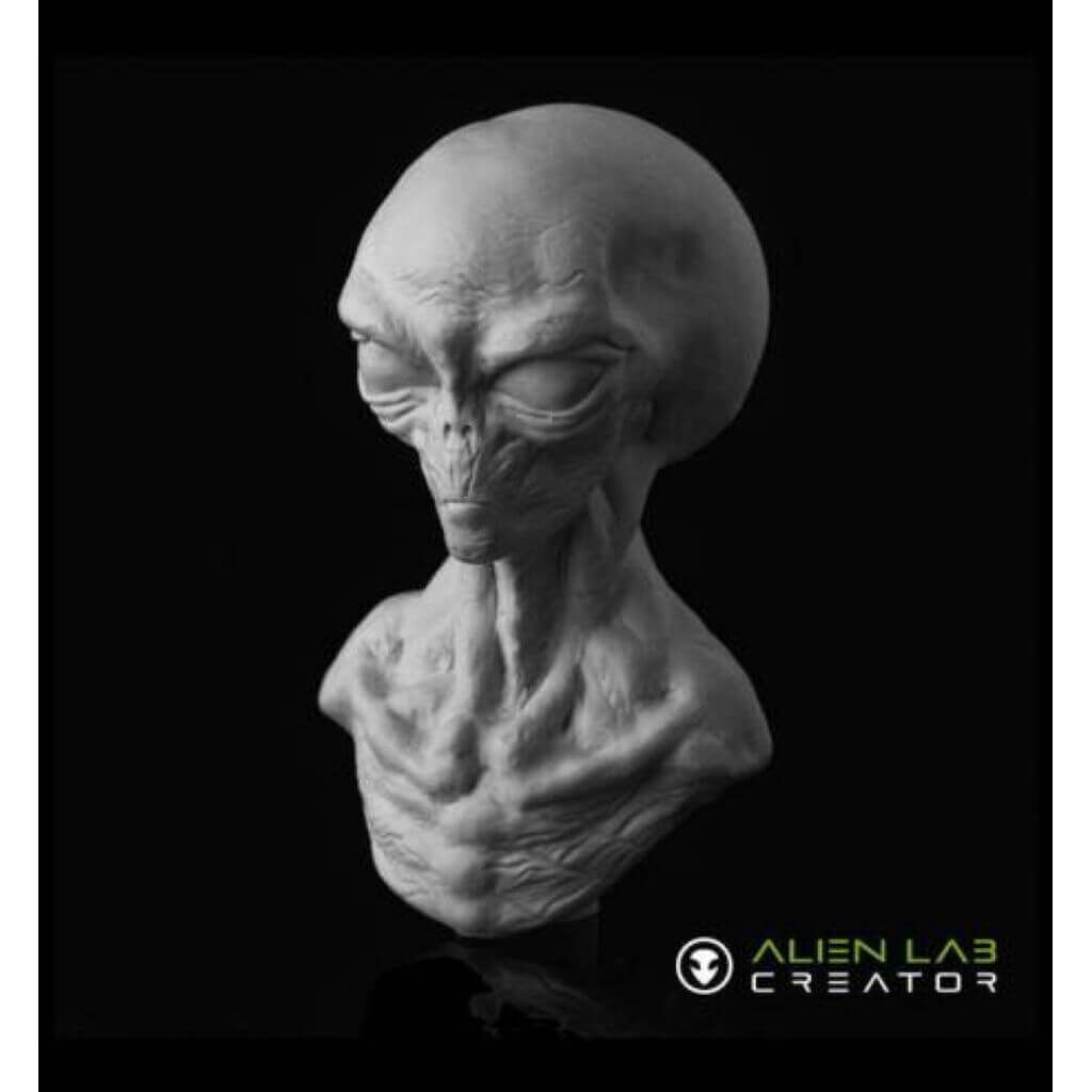 Arcturian Alien Büste