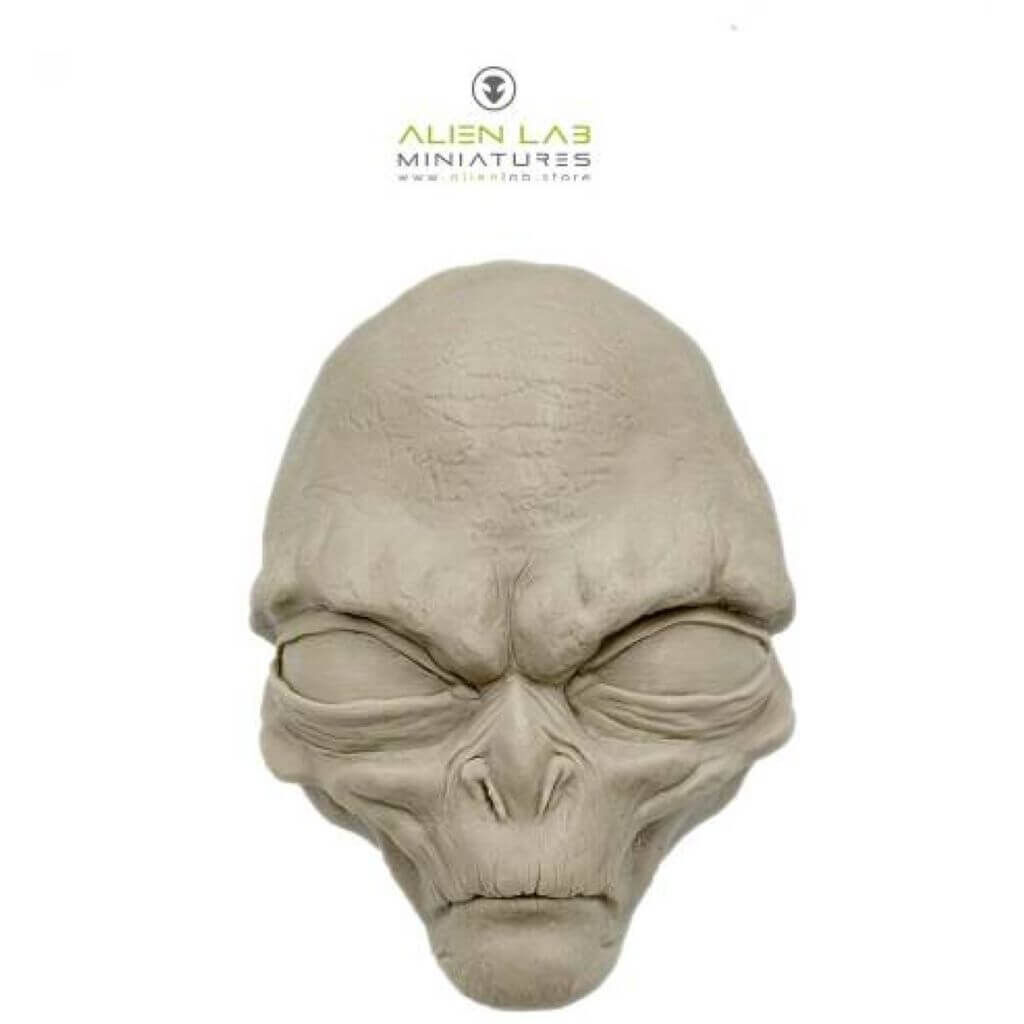 Alien Grey Kopf Büste #1