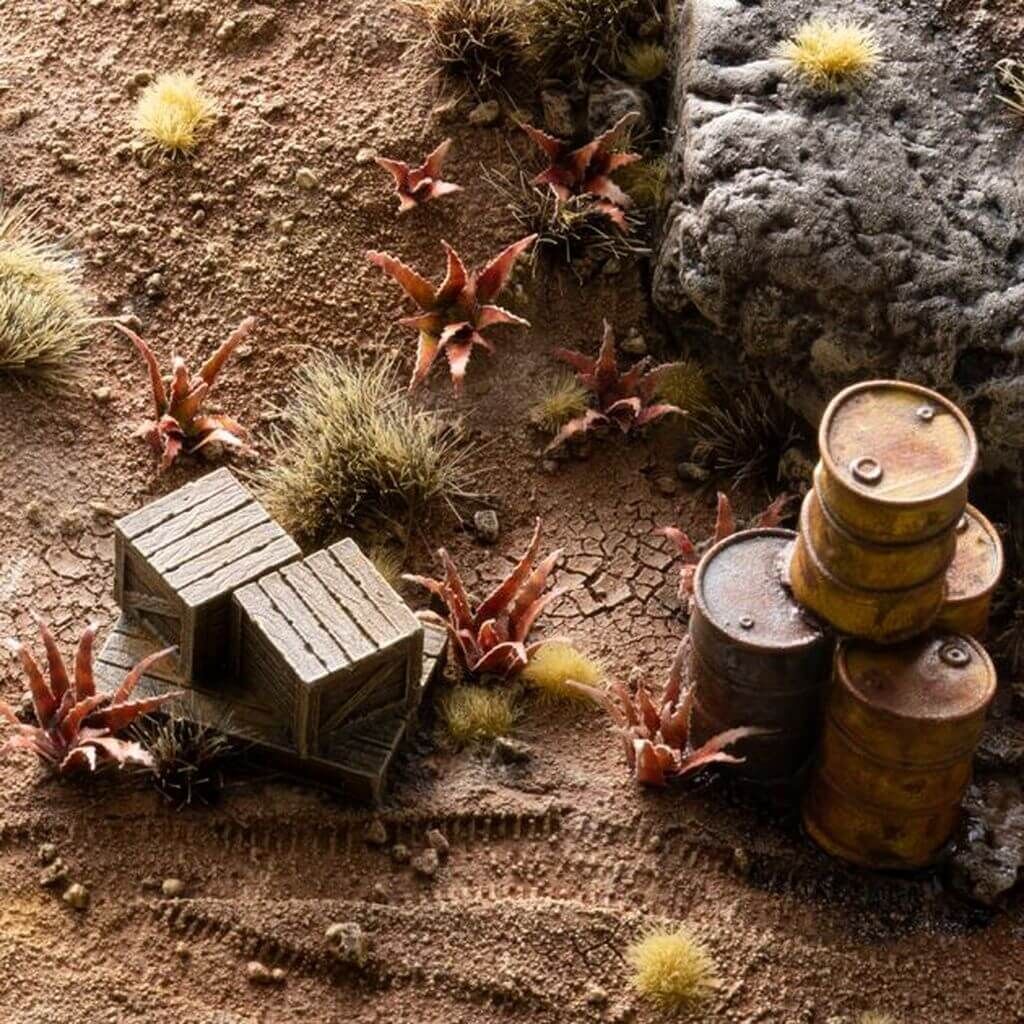 Red Aloe / Rote Aloe Pflanze