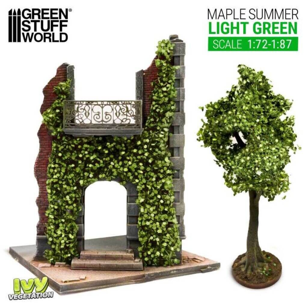 Ivy Foliage - Hellgrüner Ahorn - Klein