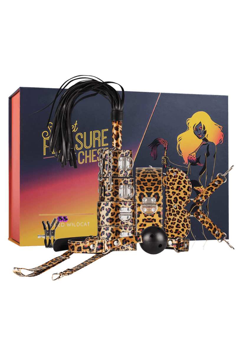 9tlg. BDSM Set in Leo-Optik