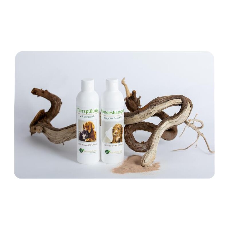 Pflegeset für Hunde | Shampoo & Pflegespülung | sanfte Fellpflege ohne Chemie & Seife | gegen Juckreiz | hypoallergen | mit original marokkanischer Lavaerde | 2x 250 ml | neuer Glanz für Kurz- und Langfell