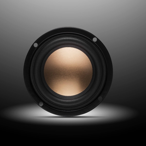 Swan B3N Full-range Speaker | Paar