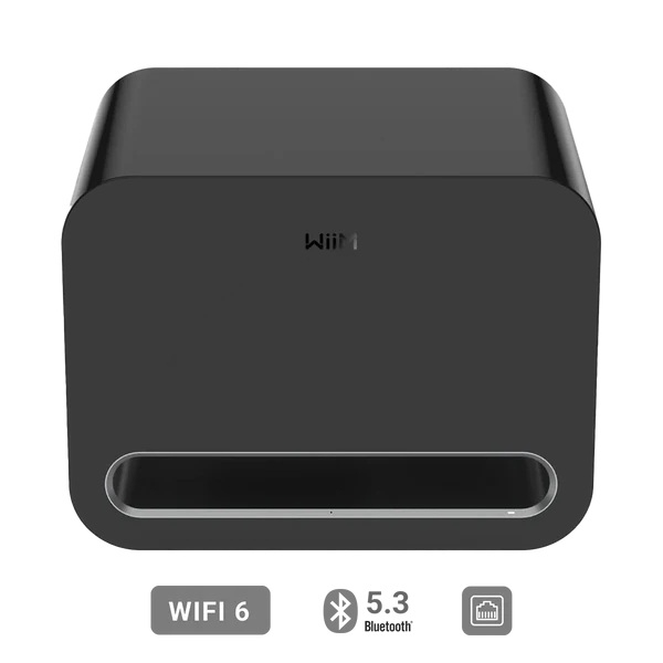 Wiim Sub Pro Schwarz - 8 Zoll Subwoofer mit 250W | Neu