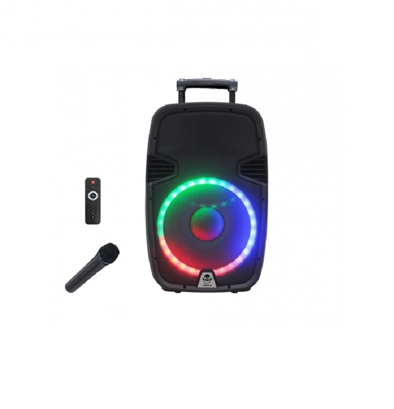 iDance Groove 1000 - Aktiv-Trolley-Bluetooth-Latusprecher | Aussteller, sehr gut