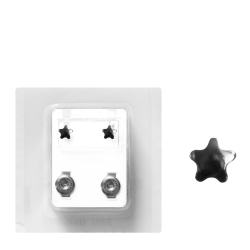 Erstohrstecker Ohrringe Chirurgenstahl Sterile Ohrstecker mit Stern 4mm