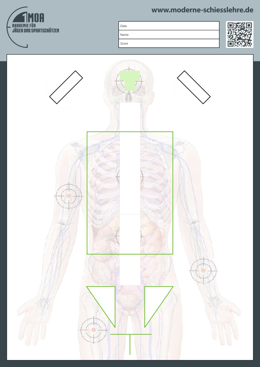 1MOA - Anatomie-Torsotarget DIN A1 Realitätsnahes Kurzwaffentraining für Behö...