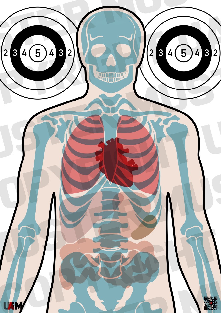 Anatomie Target DIN A1 – Detaillierte Zielscheibe für präzises Training von B...