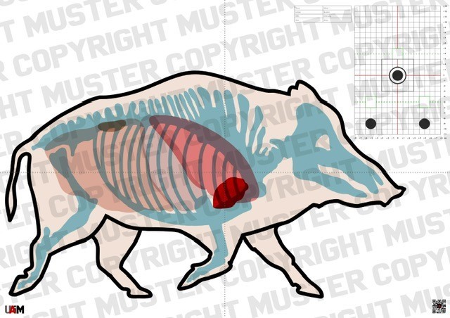 Anatomie Target Keiler DIN A1 – Detaillierte Zielscheibe für präzises waidger...