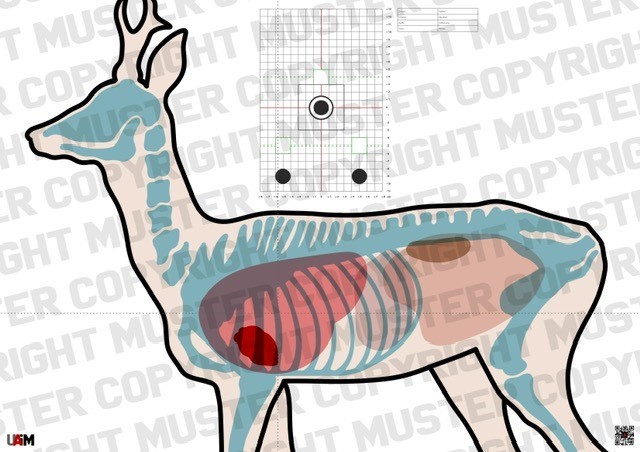 Anatomie Target Rehbock DIN A1 – Präzise Zielscheibe für waidgerechtes Schieß...