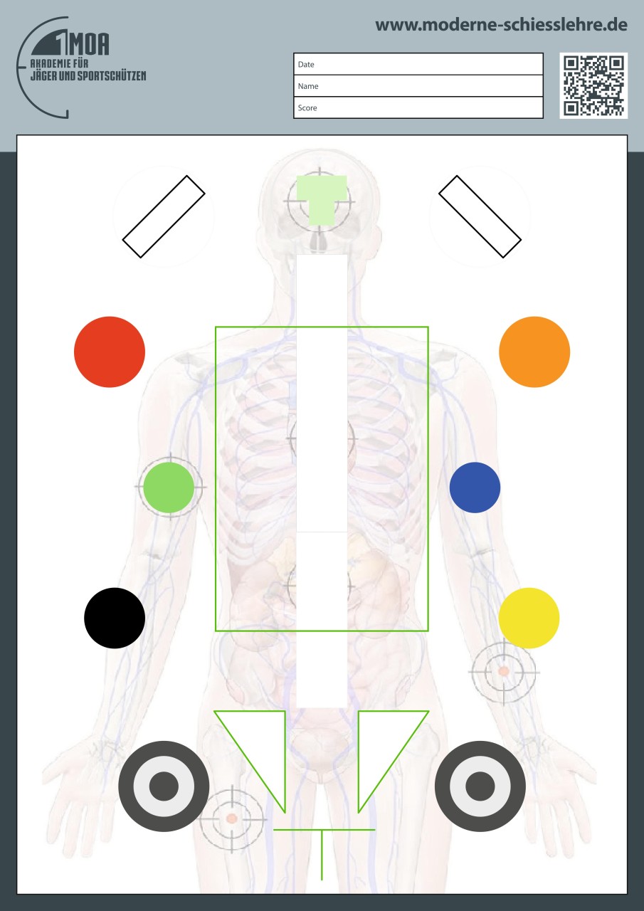 1MOA - Kombiniertes Anatomie-Trainingstarget DIN A1 Kurzwaffenausbildung für ...