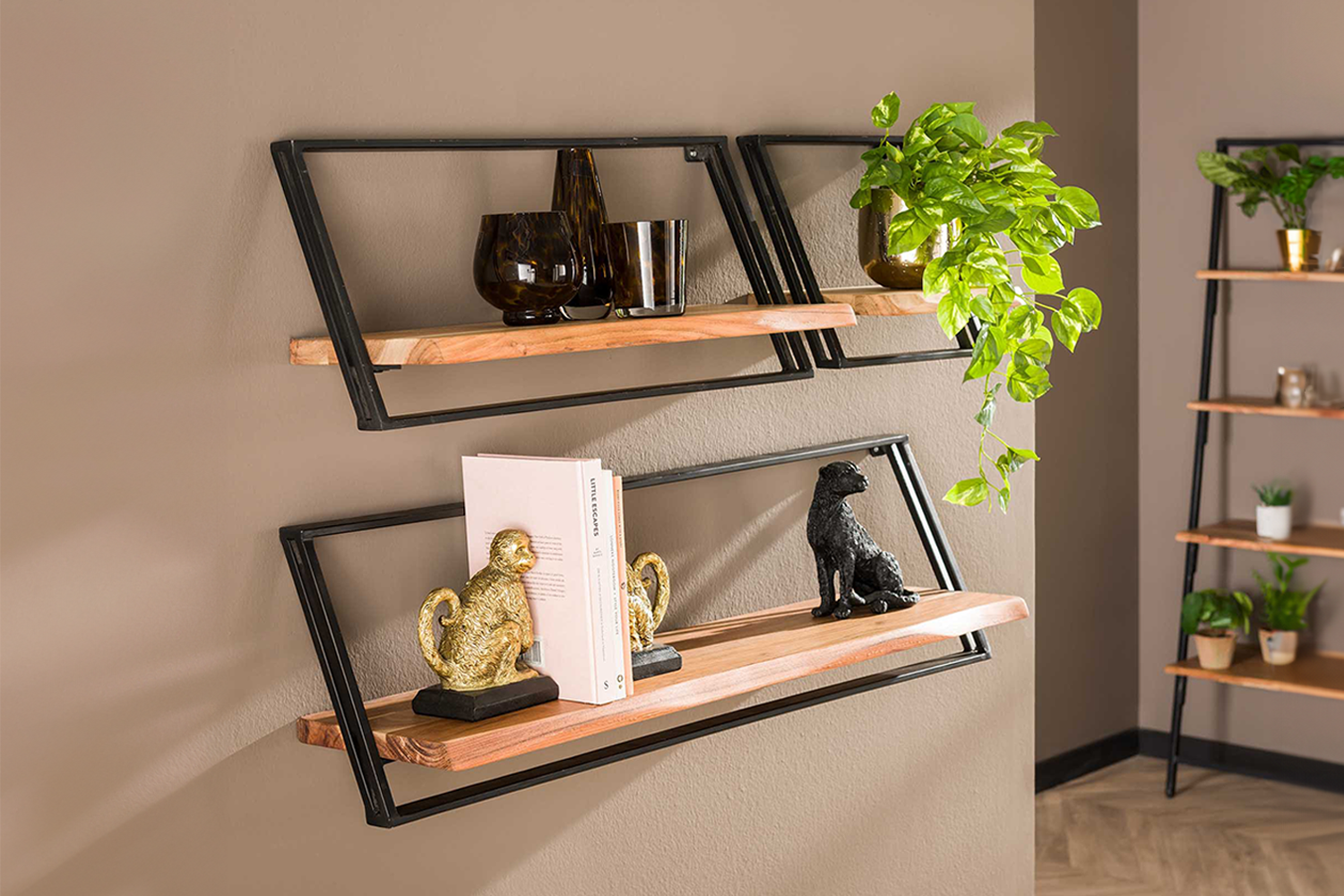 KAWOLA Wandregal ADELIA 3-tlg. Akazie massiv natur