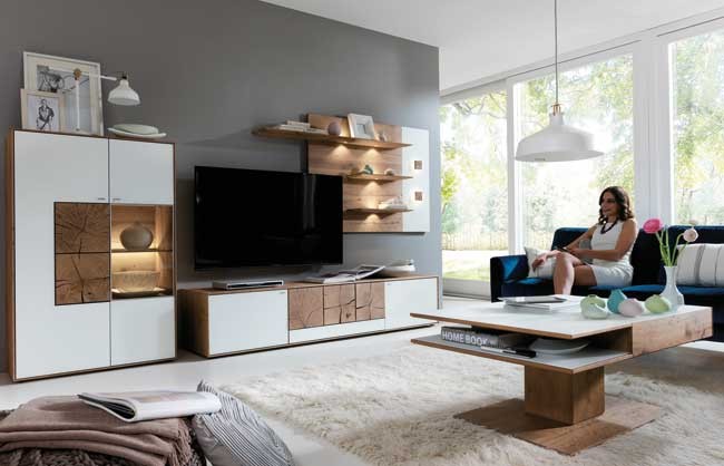 Hartmann Möbel Caya Wohnwand