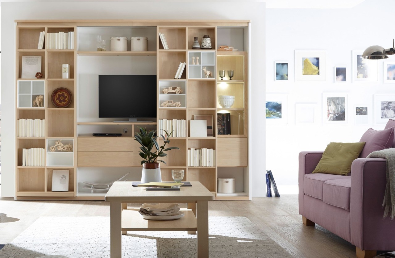 Solution Bücherregal mit Fernsehfach