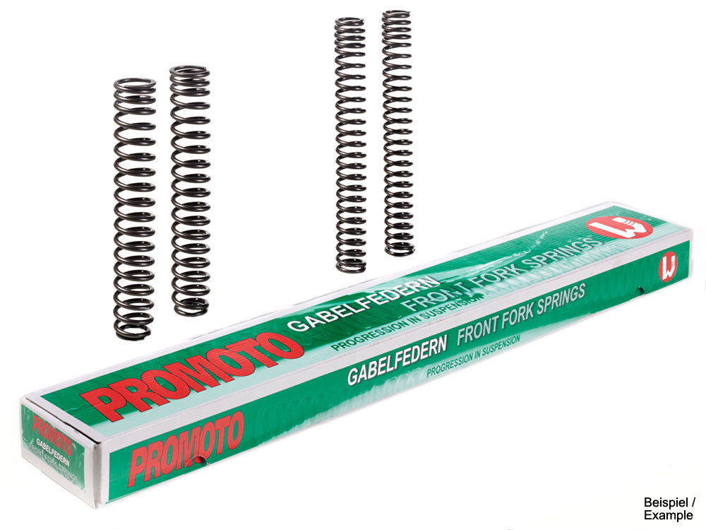 Promoto Gabelfedern Honda X-4 (SC38) Kawasaki ZXR 750 (1989-1990) Triumph Daytona 900/Super III/Speed Triple/1200