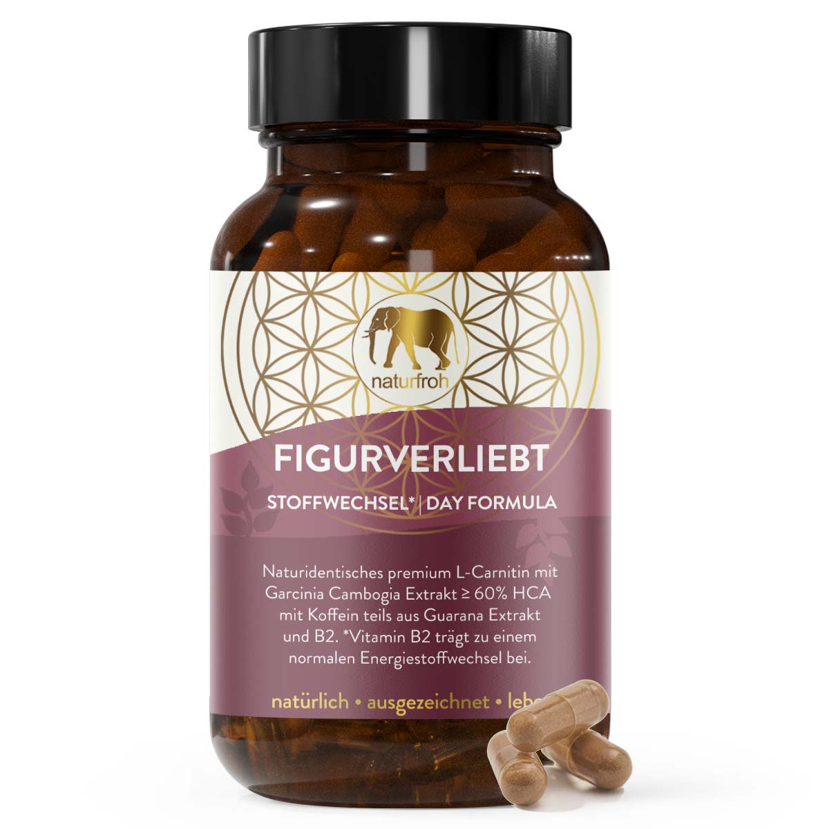 FIGURVERLIEBT - Die Stoffwechsel Formel* [Tag] L-Carnitin Garcinia Koffein Komplex