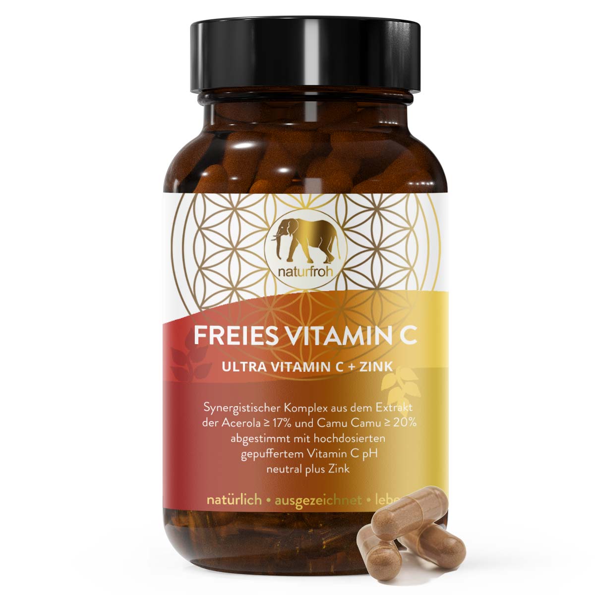 FREIES VITAMIN C - Natürliches Vitamin C Zink Kapseln - Acerola Camu Camu gepuffertes Vitamin C
