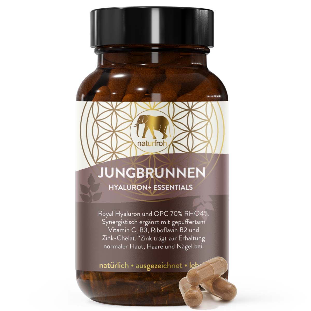 JUNGBRUNNEN - Hyaluron plus OPC freies C B2 B6 Komplex