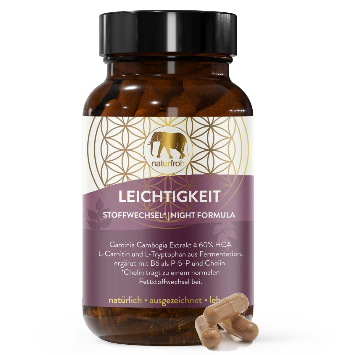 LEICHTIGKEIT - Die Stoffwechsel* Formel [Nacht] - Garcinia Cambogia Kapseln plus *Cholin Komplex