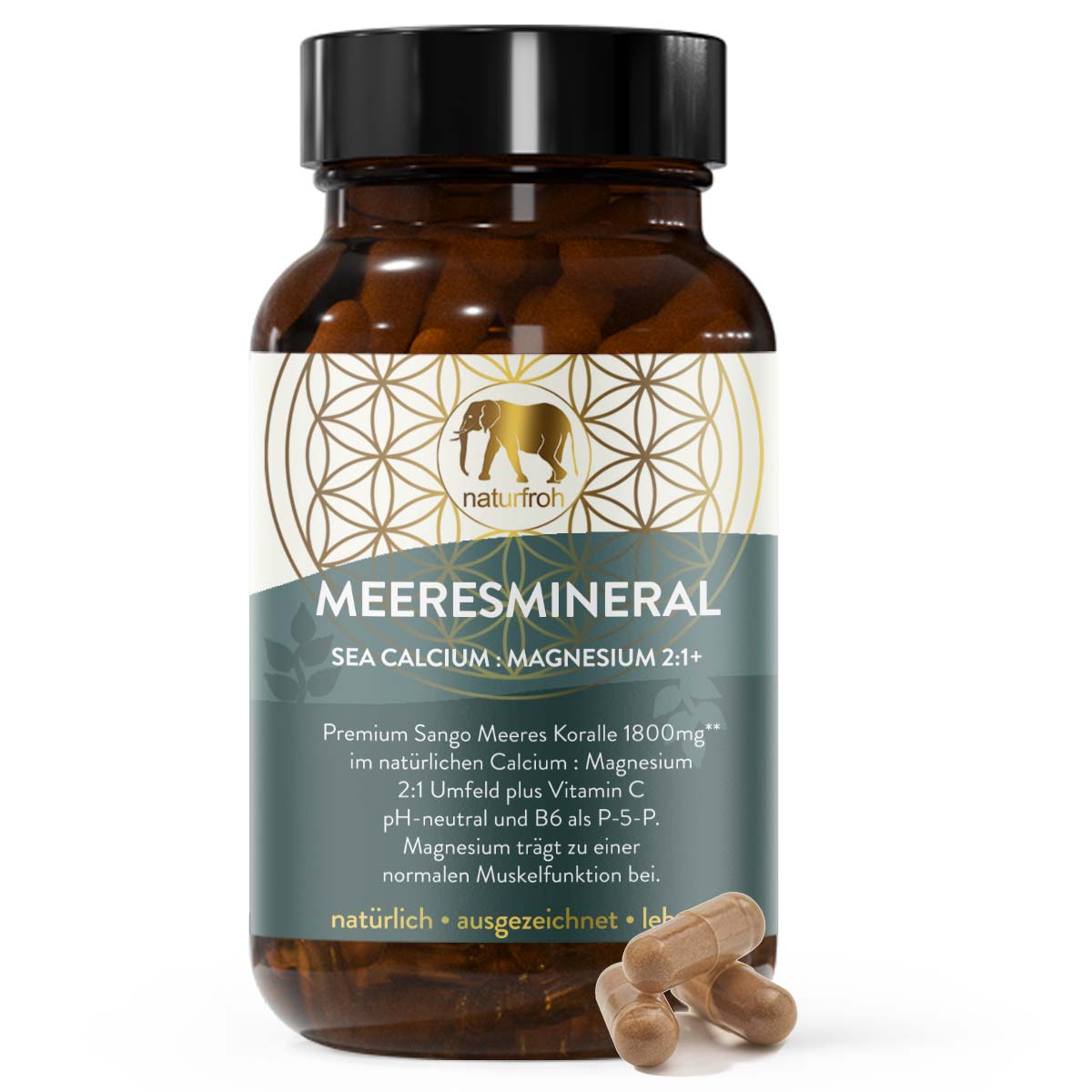 MEERESMINERAL - Sango Meeres Koralle 2:1 Calcium Magnesium Kapseln