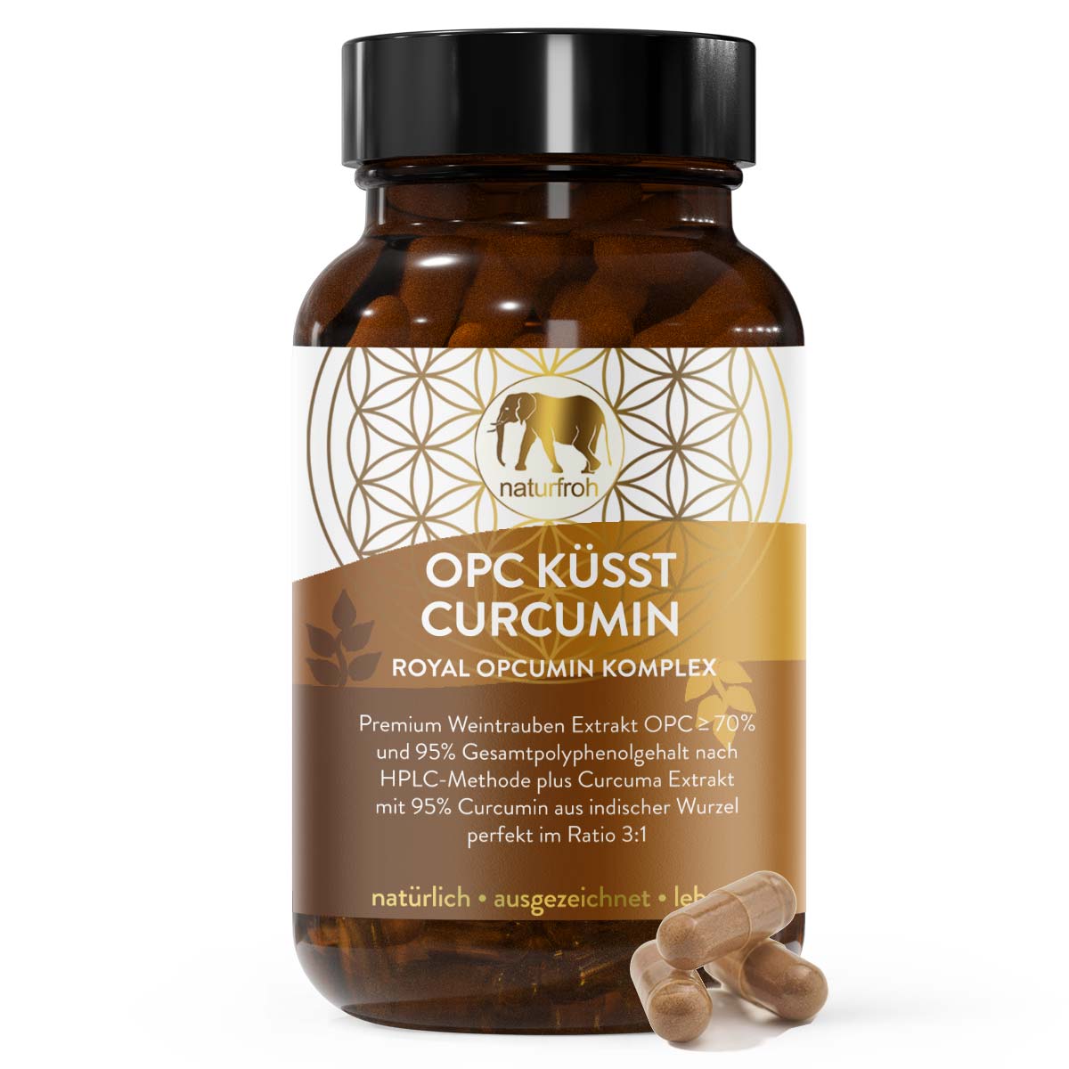OPC KÜSST CURCUMIN - OPC Traubenkernextrakt Kapseln mit Kurkuma hochdosiert