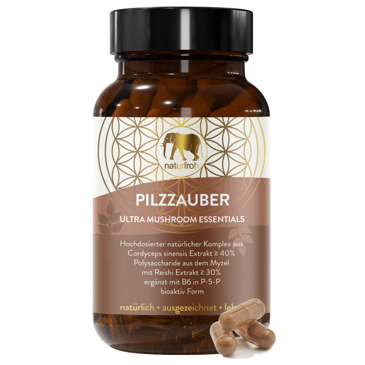 PILZZAUBER - Reishi Kapseln plus Cordyceps CS-4 Extrakt | Pilz Komplex