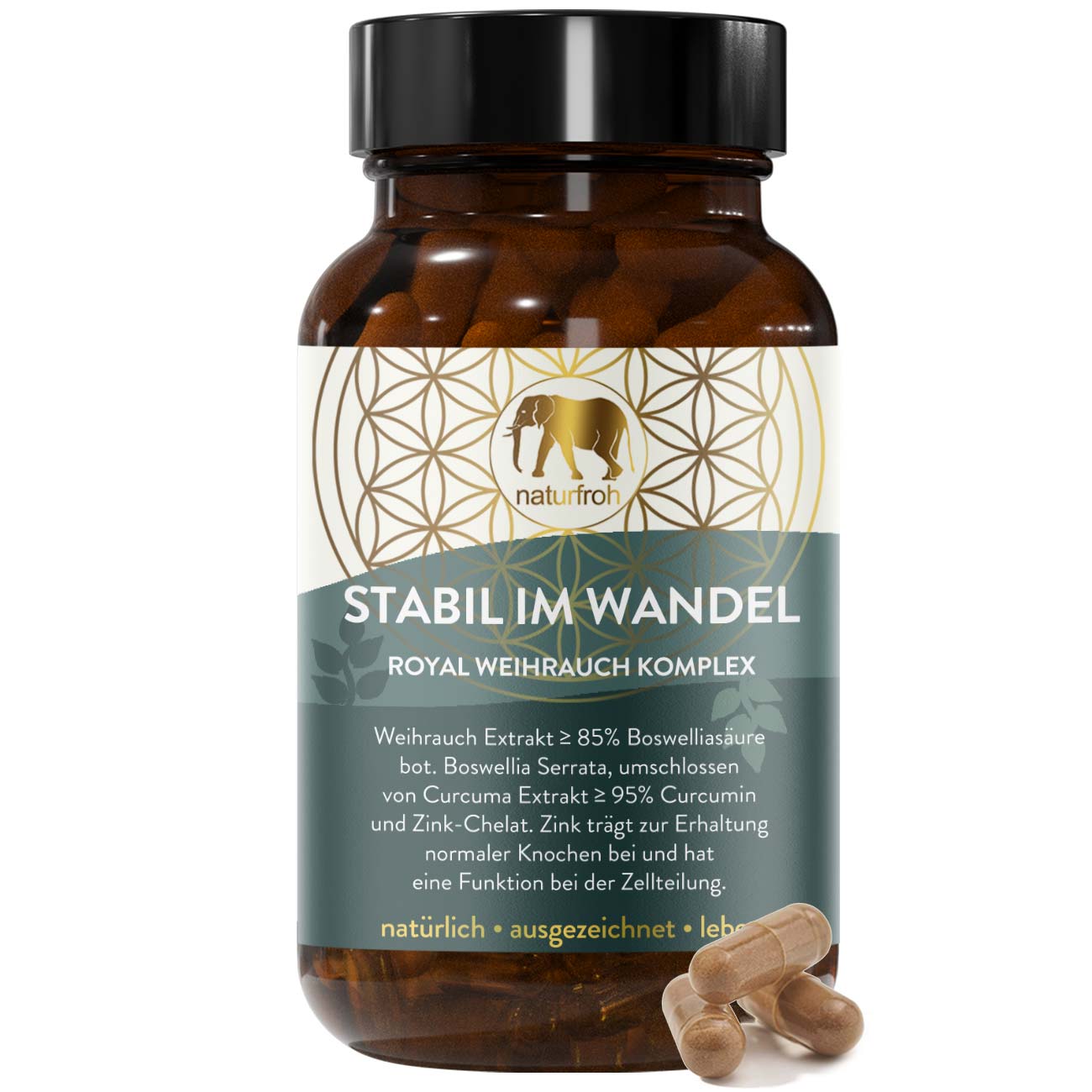 STABIL IM WANDEL - Weihrauch Kapseln - Boswellia Serrata plus Curcuma