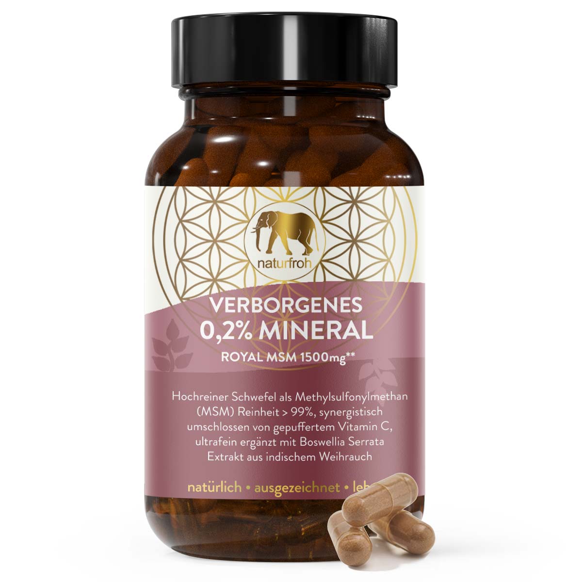 VERBORGENES 0,2% MINERAL - MSM Schwefel Vitamin C Kapseln plus Weihrauch 85%