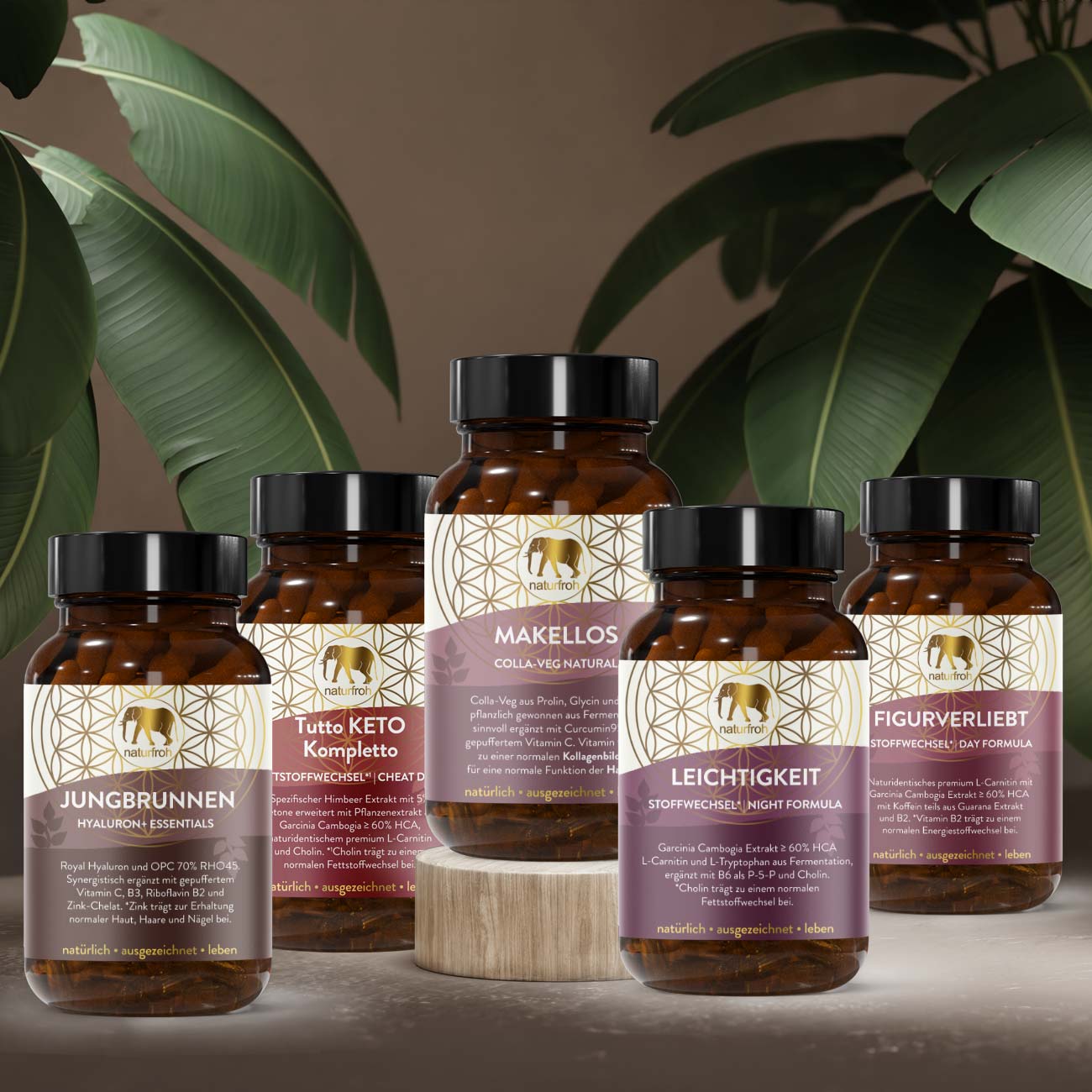 Beauty Haut* und Haar* Vitamin aktiv Paket - Vegan