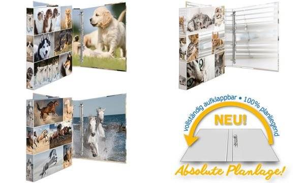 HERMA Ringbuch A4 Pferde 4D