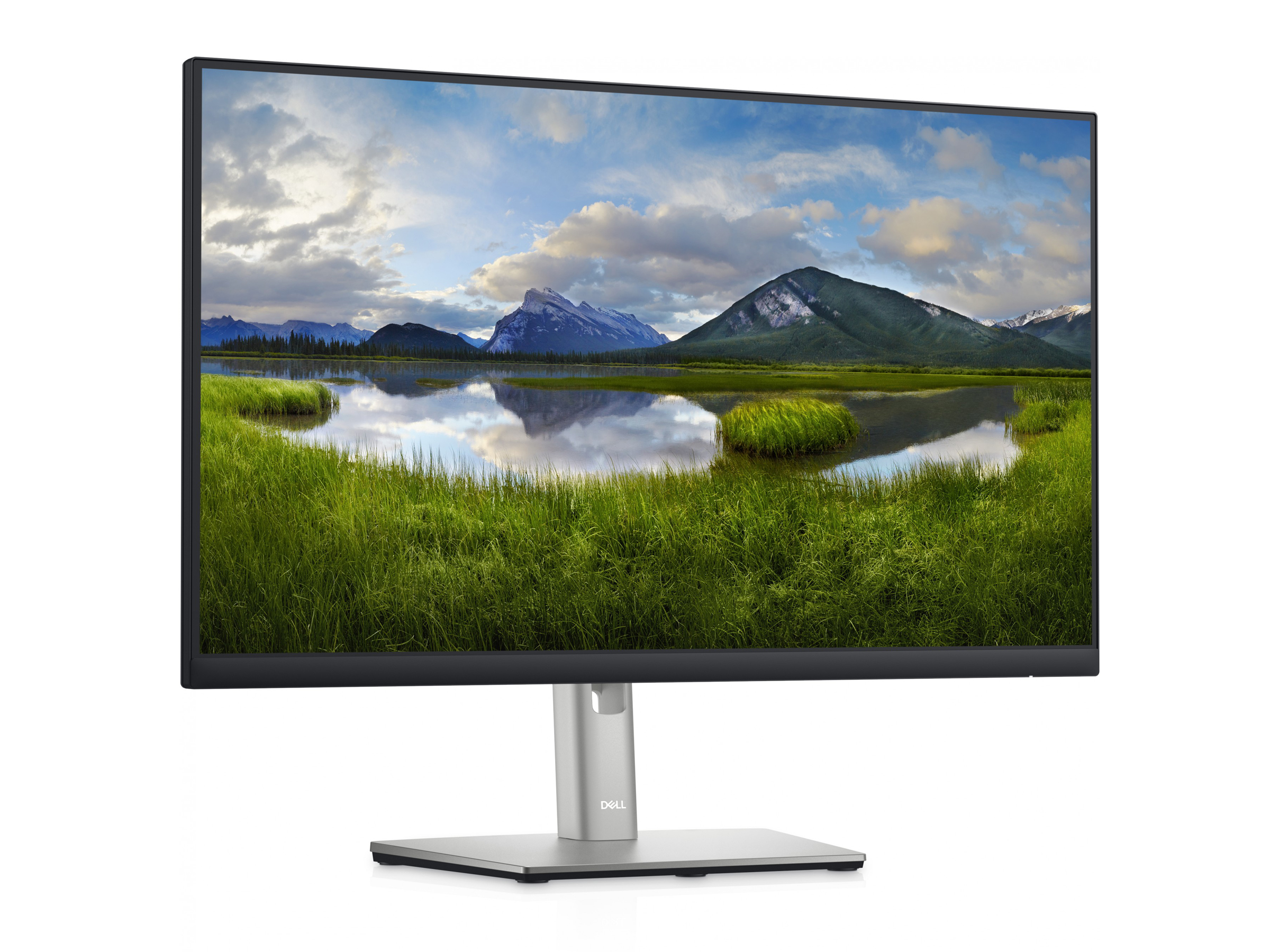 Dell Professional P2422H 24'' Monitor IPS FHD